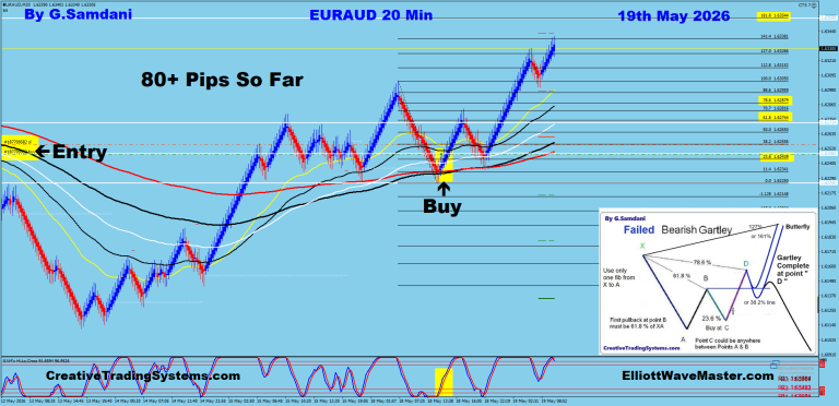 7 EA 20 min 05-19-26 Crab withTrade. a